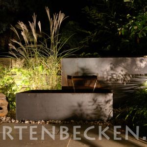 Gartenbecken Bei Nacht 016
